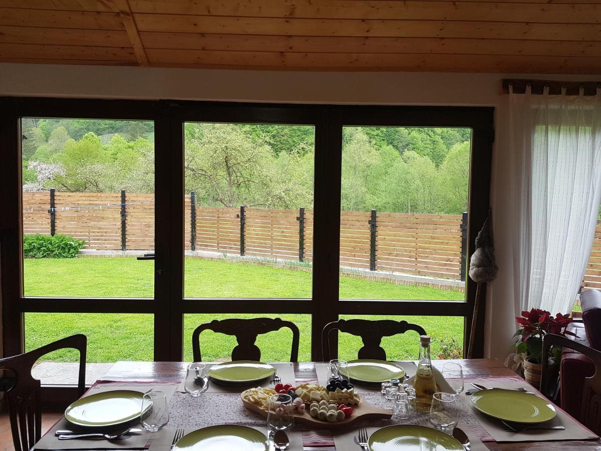 Crivina  Sura Lu' Vasile. Bed & Breakfast エクステリア 写真