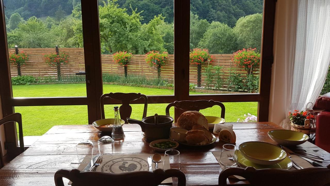Crivina  Sura Lu' Vasile. Bed & Breakfast エクステリア 写真