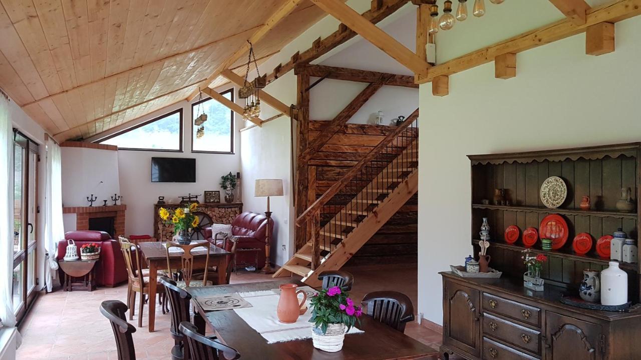 Crivina  Sura Lu' Vasile. Bed & Breakfast エクステリア 写真