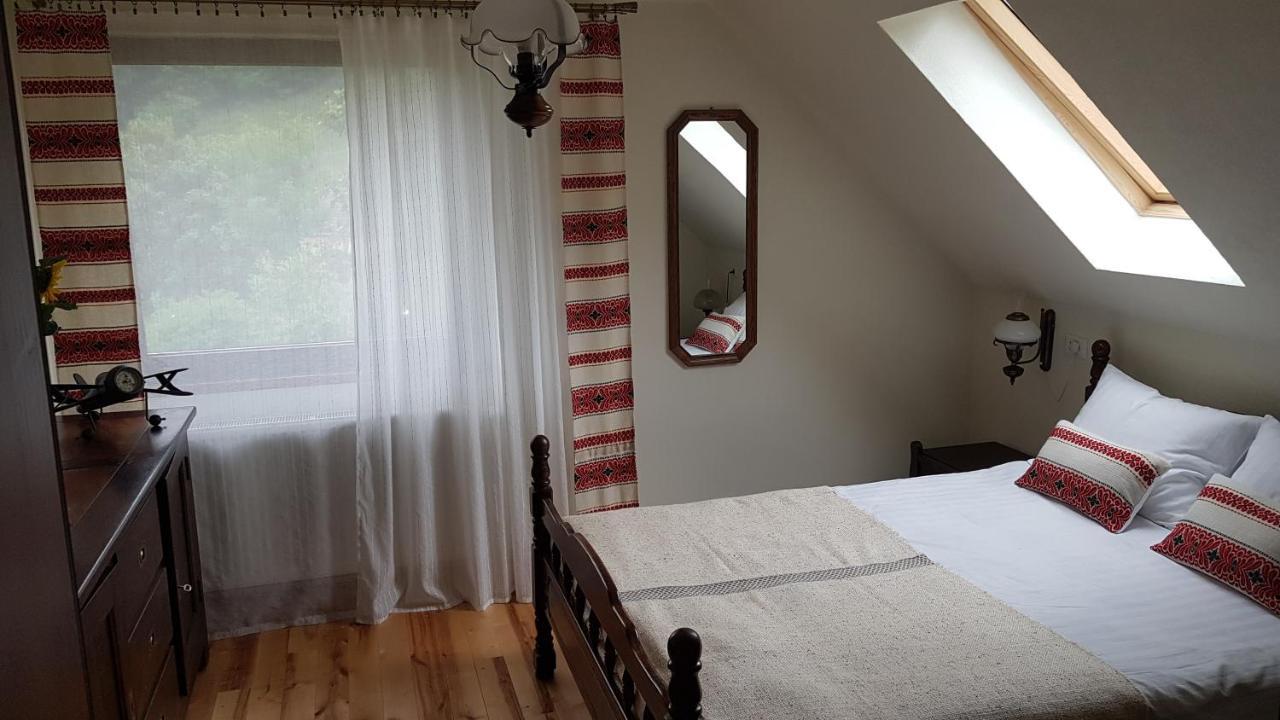 Crivina  Sura Lu' Vasile. Bed & Breakfast エクステリア 写真