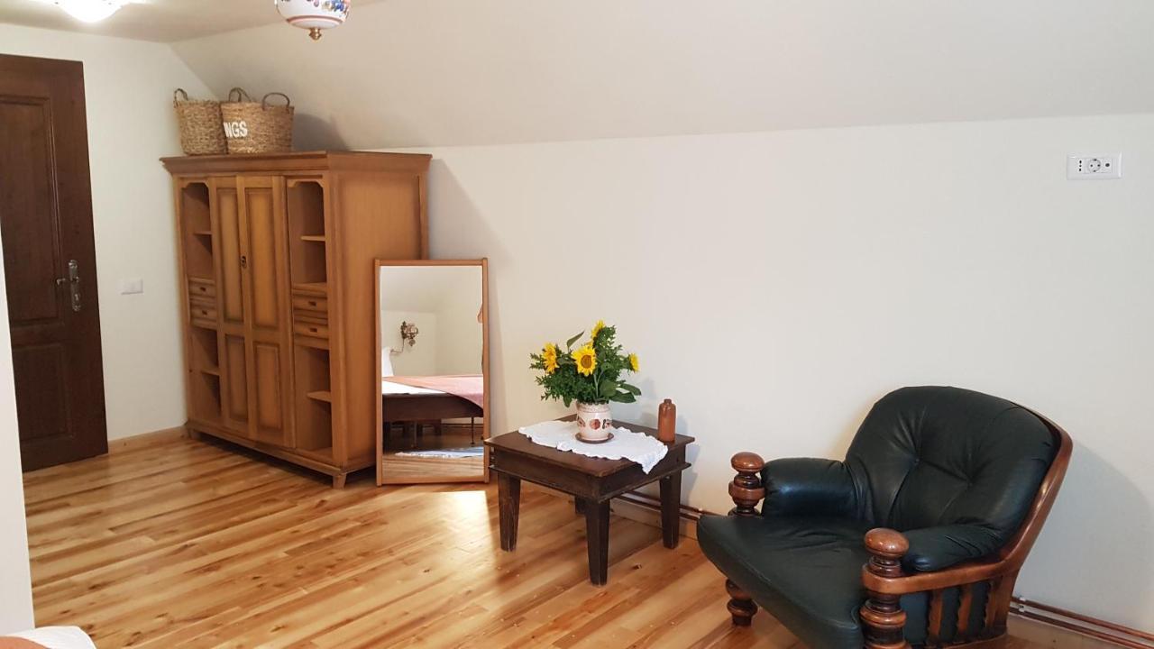 Crivina  Sura Lu' Vasile. Bed & Breakfast エクステリア 写真