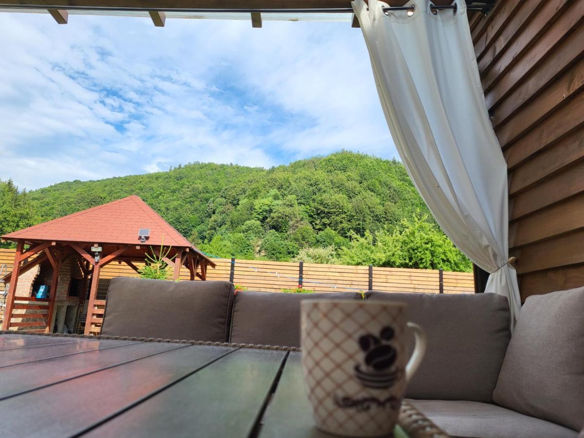 Crivina  Sura Lu' Vasile. Bed & Breakfast エクステリア 写真